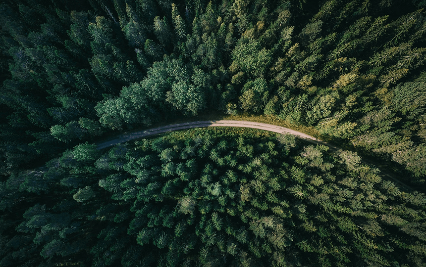 Harnessing Carbon Credits and Tokenization: A Strategy for Offsetting Your Carbon Footprint